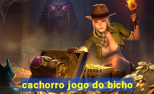 cachorro jogo do bicho